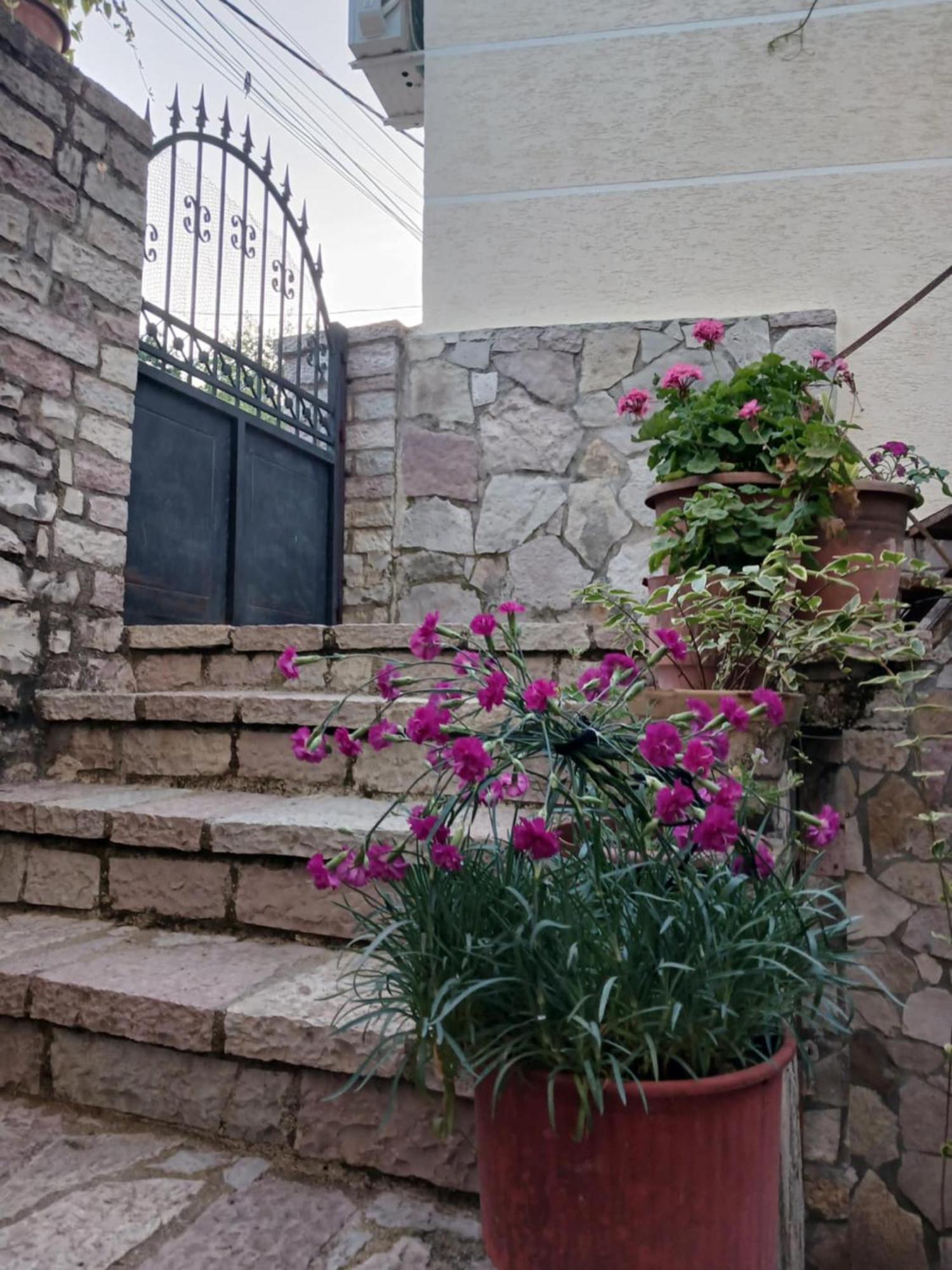 Eniguesthouse *